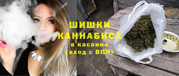 дживик Саяногорск